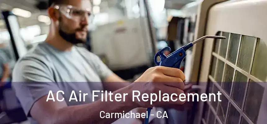 AC Air Filter Replacement Carmichael - CA