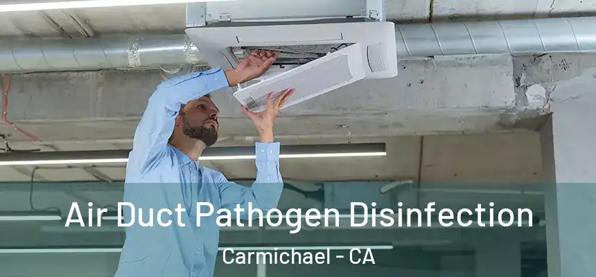  Air Duct Pathogen Disinfection Carmichael - CA