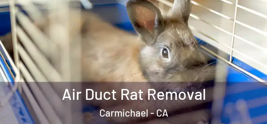  Air Duct Rat Removal Carmichael - CA
