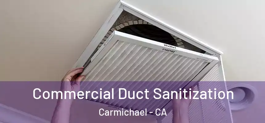 Commercial Duct Sanitization Carmichael - CA