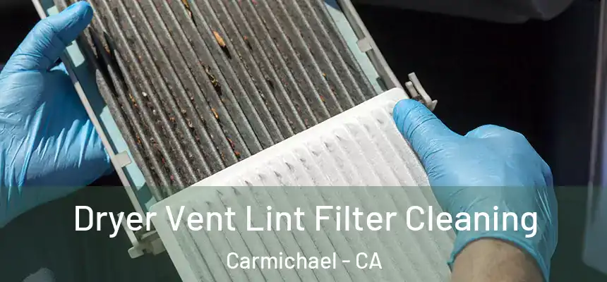  Dryer Vent Lint Filter Cleaning Carmichael - CA