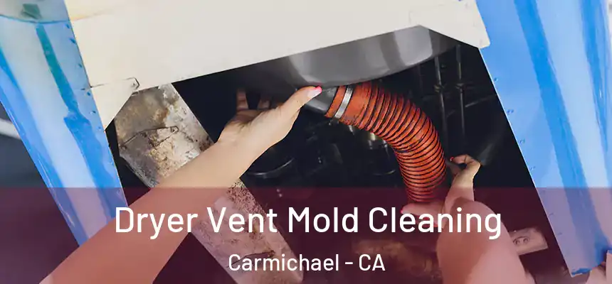  Dryer Vent Mold Cleaning Carmichael - CA