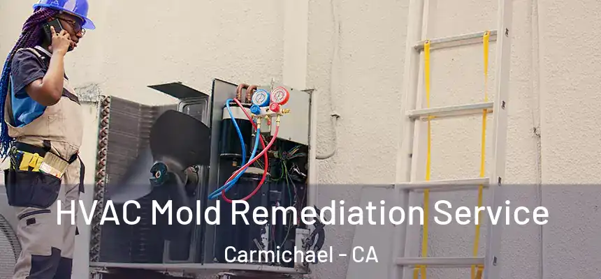  HVAC Mold Remediation Service Carmichael - CA