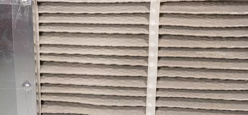 Mobile Car AC Filter Replacement in Carmichael