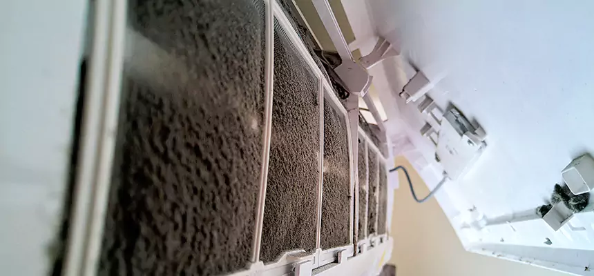 Preventive Air Duct Bacteria Removal in Carmichael