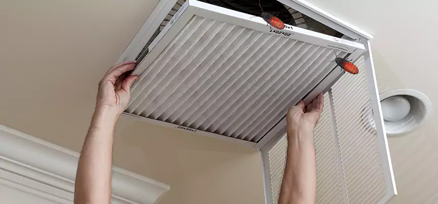 Preventive Cockroach-Proofing for Ducts in Carmichael