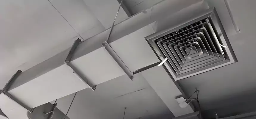 Restorative Allergy Relief Vent Cleaning – Coil, Blower & Housing Detail in Carmichael