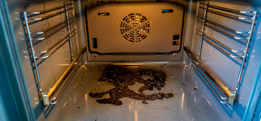 Our Dryer Vent Mold Cleaning Services in Carmichael, CA