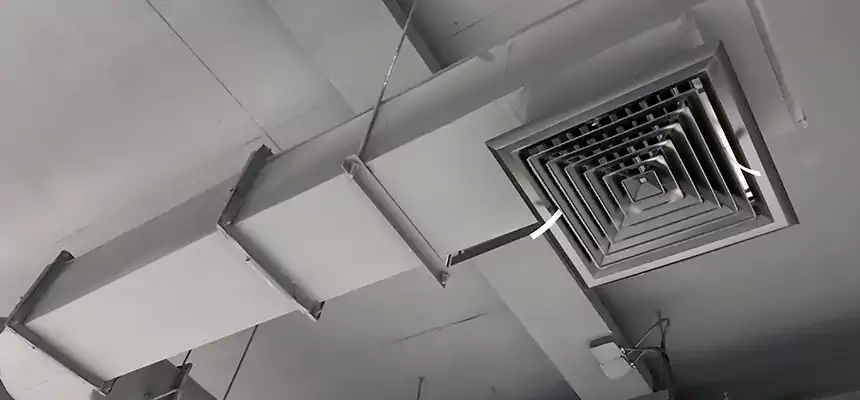 Our Pest Removal From Ducts Services in Carmichael, CA