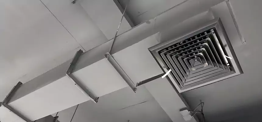 Our Rodent Droppings In Vents Services in Carmichael, CA