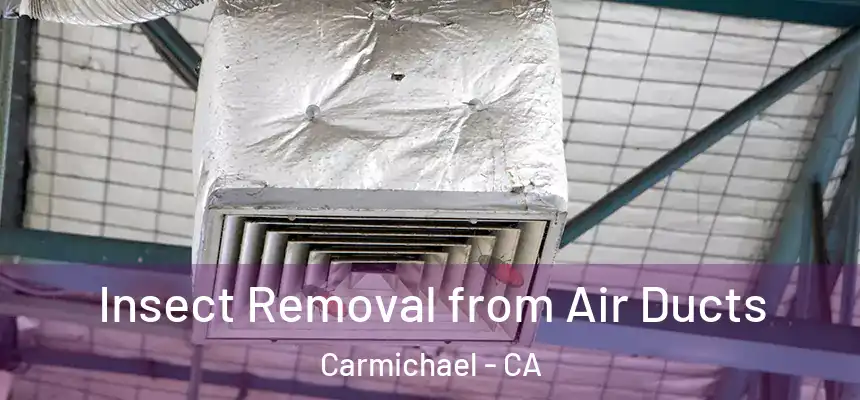 Insect Removal from Air Ducts Carmichael - CA