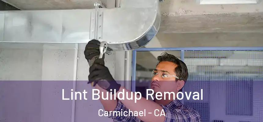 Lint Buildup Removal Carmichael - CA