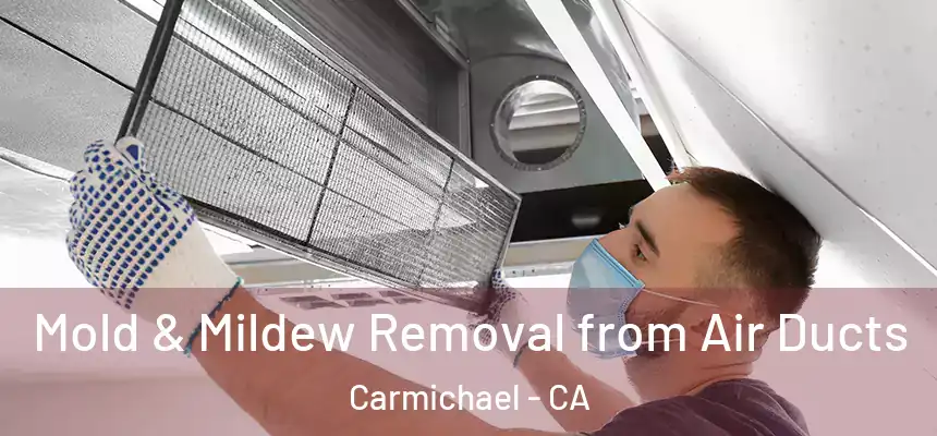  Mold & Mildew Removal from Air Ducts Carmichael - CA