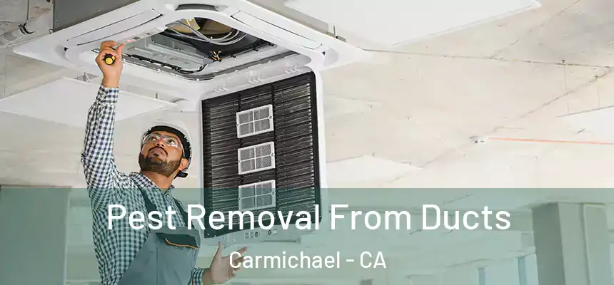 Pest Removal From Ducts Carmichael - CA