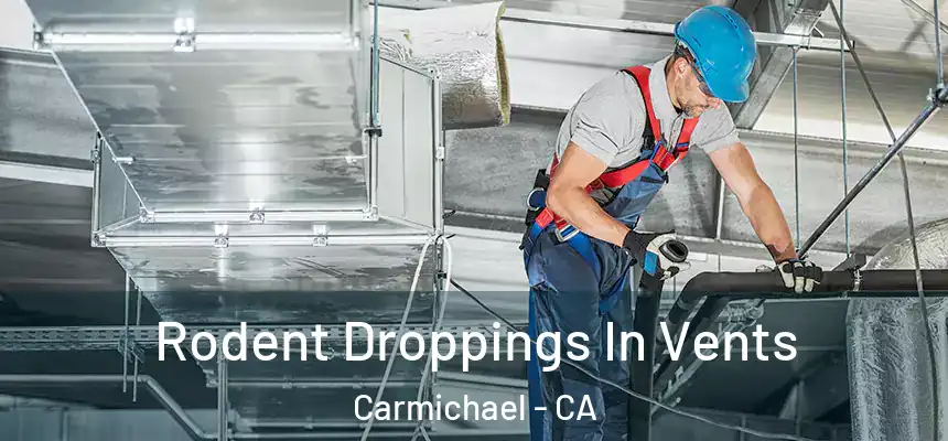  Rodent Droppings In Vents Carmichael - CA