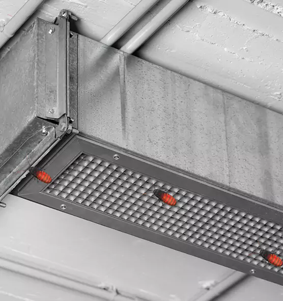 Affordable Insect Removal from Air Ducts in Carmichael, CA