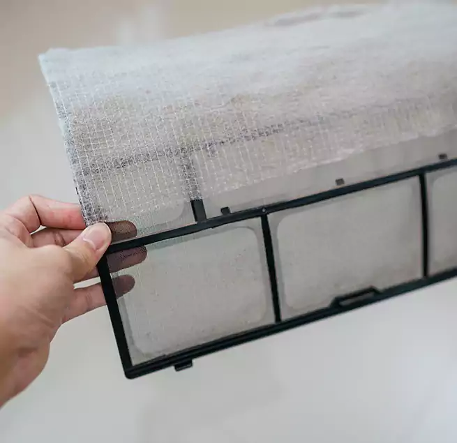 Why Homeowners & Businesses Trust Us in Carmichael, CA?