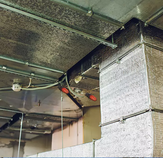 Why Homeowners & Businesses Trust Us Carmichael, CA?